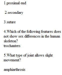 Lecture Quiz 2